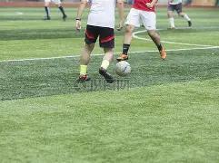 粤队公布亚,人阵容,杜锋携,开云体育,开云体育官网,开云体育app,开云体育平台,KAIYUN,SPORTS,kaiyun登录入口