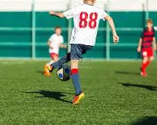 明星,授课,热潮席卷捞,开云体育,开云体育官网,开云体育app,开云体育平台,KAIYUN,SPORTS,kaiyun登录入口