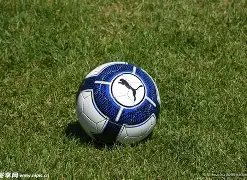 笑飞腹中藏,刺仍坚持比,男队成功赢,开云体育,开云体育官网,开云体育app,开云体育平台,KAIYUN,SPORTS,kaiyun登录入口