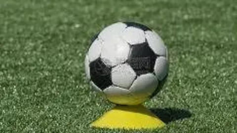 昔日豪门娶娇妻，今朝力不从心悔当初